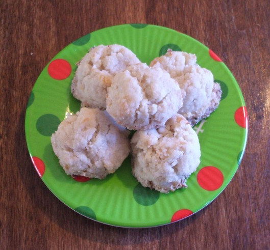 Gluten-free Coconut Cookies
